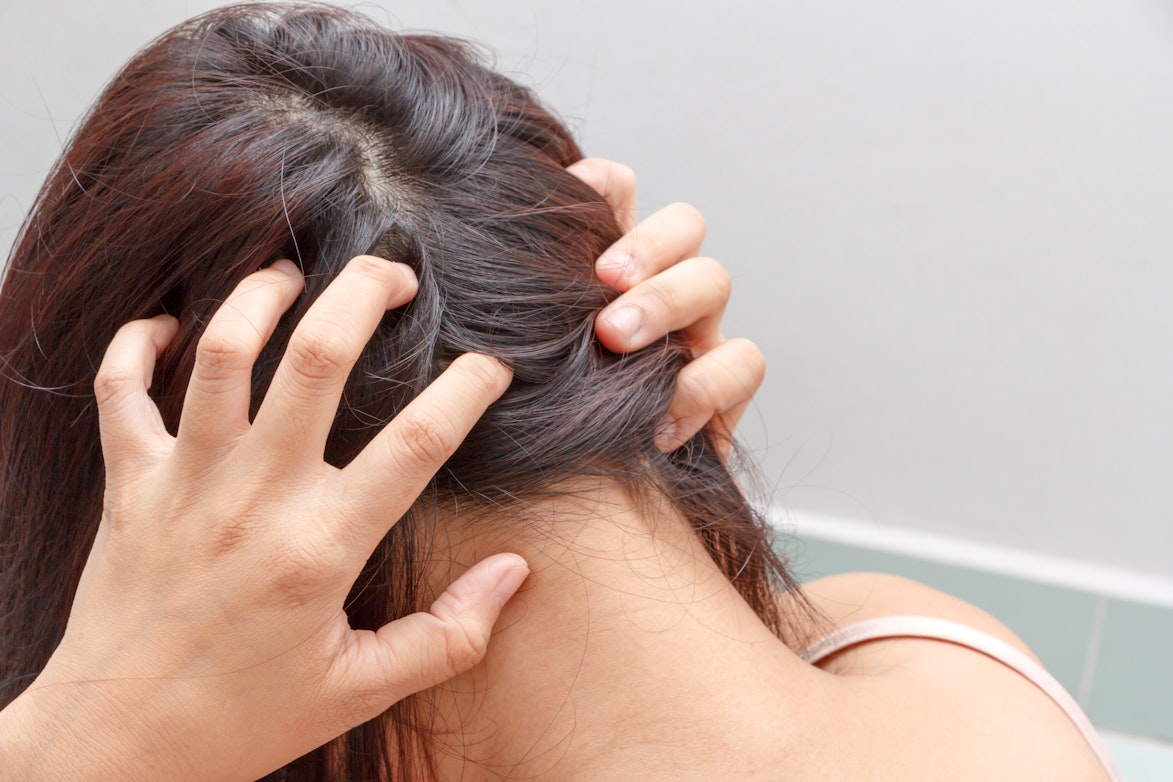 Scalp Bump Symptoms Causes Common Questions Buoy